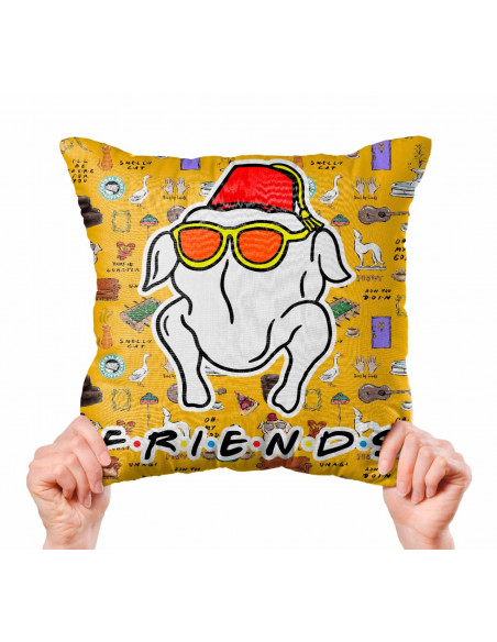 ALMOHADONES FRIENDS
