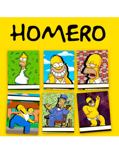 CARATULAS HOMERO