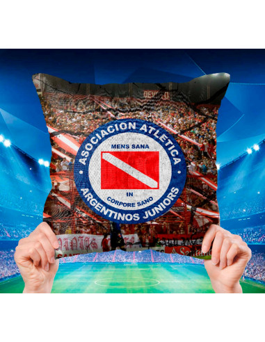 ALMOHADONES CUADROS DE FUTBOL