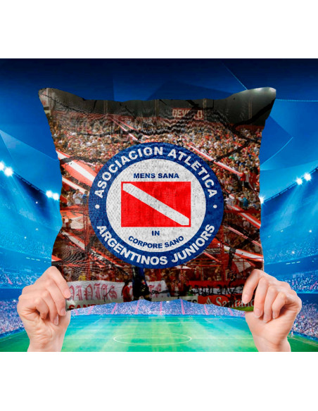ALMOHADONES CUADROS DE FUTBOL