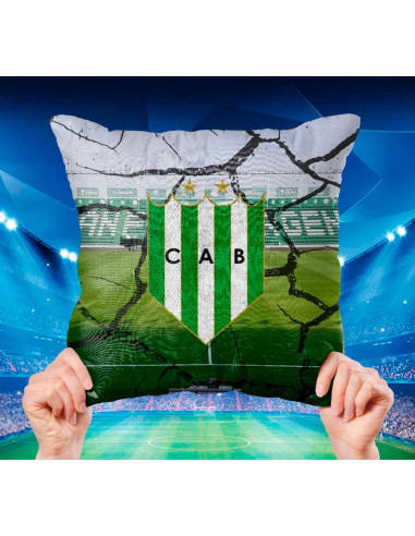 ALMOHADONES CUADROS DE FUTBOL