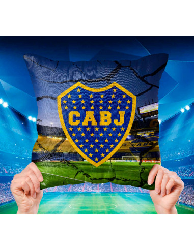ALMOHADONES CUADROS DE FUTBOL