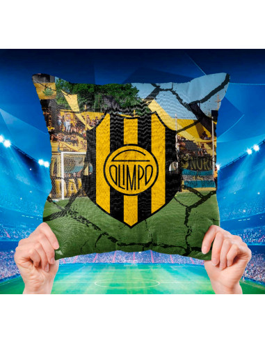 ALMOHADONES CUADROS DE FUTBOL