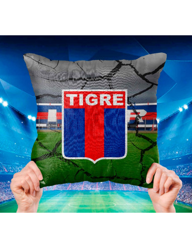 ALMOHADONES CUADROS DE FUTBOL
