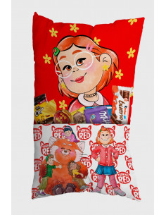 ALMOHADONES CON BOLSILLO... 2