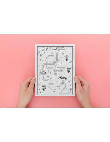 Colorea y encuentra el camino correcto