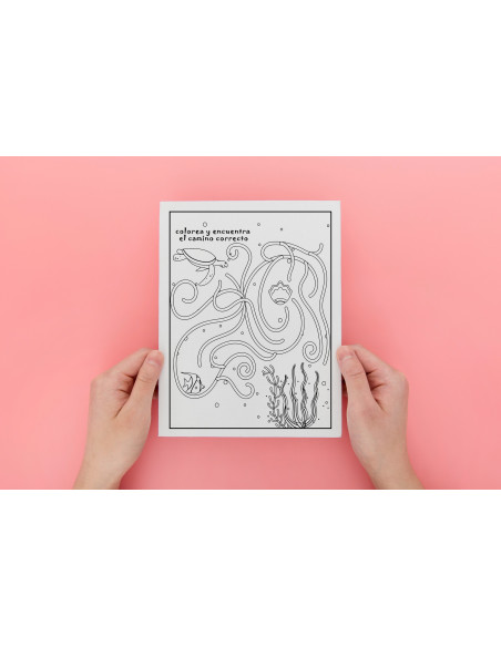 Colorea y encuentra el camino correcto