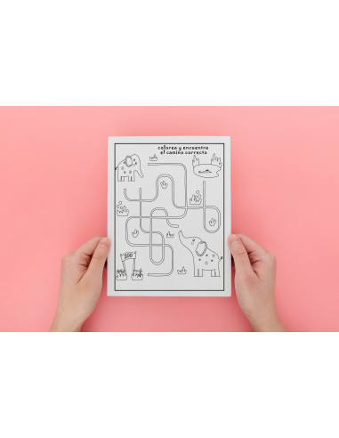 Colorea y encuentra el camino correcto