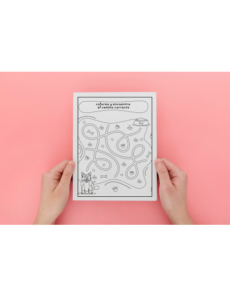 Colorea y encuentra el camino correcto