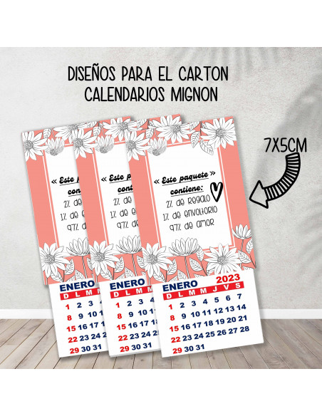 CARTONES CALENDARIOS MIGNON EMPRENDEDORES PACK 1
