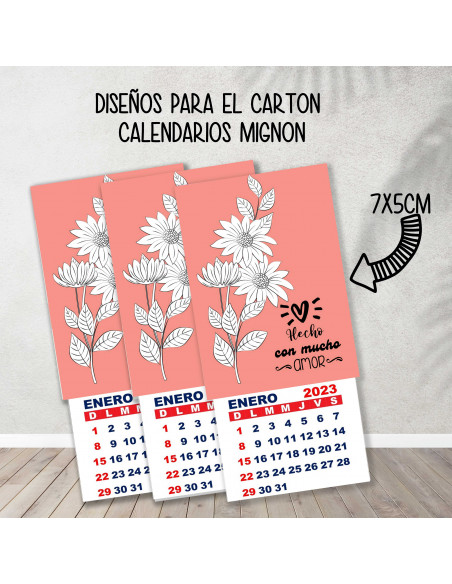CARTONES CALENDARIOS MIGNON EMPRENDEDORES PACK 1