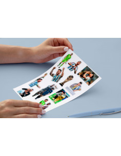 Stickers Argentina Campeon...