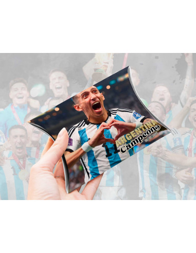 Caja almohada Argentina Campeón