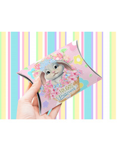 CAJA ALMOHADA + ALMOHADONES...