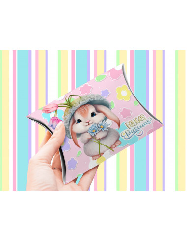 CAJA ALMOHADA + ALMOHADONES BOLSILLO...