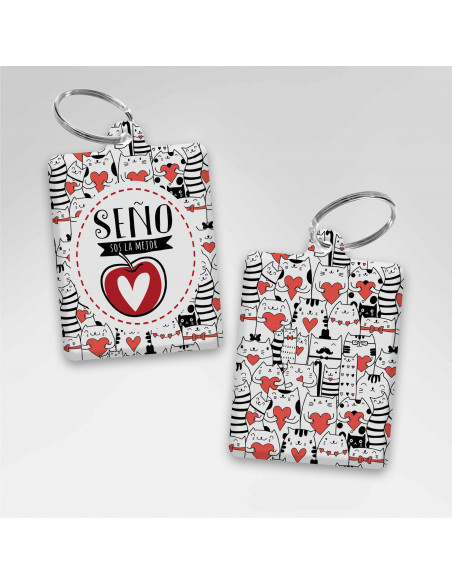 LLAVEROS RECTANGULAR DIA DEL MAESTRO - PACK 1