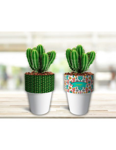 VASOS/MACETAS CACTUS