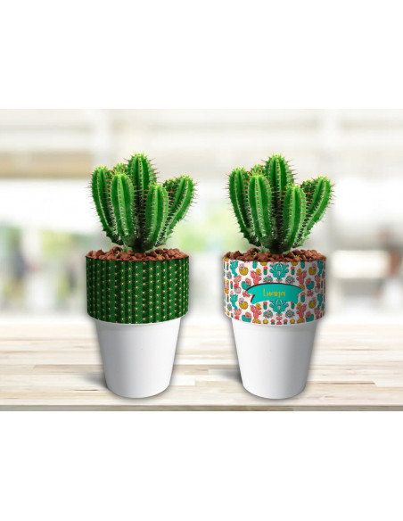 VASOS/MACETAS CACTUS
