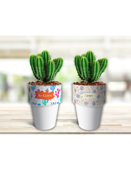 VASOS/MACETAS CACTUS