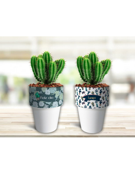VASOS/MACETAS CACTUS