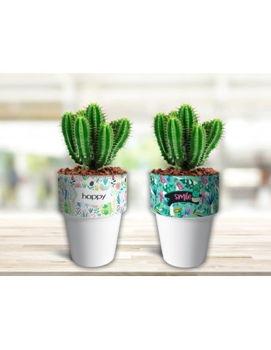VASOS/MACETAS CACTUS