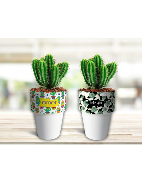 VASOS/MACETAS CACTUS