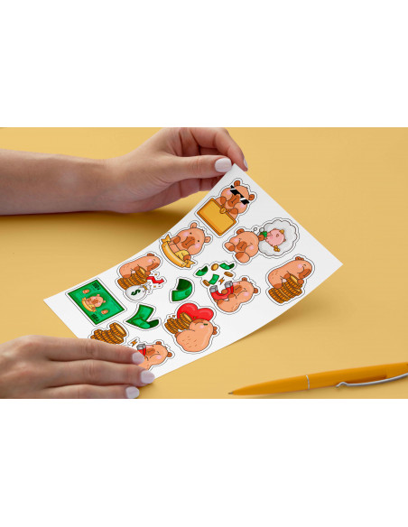 SUPER PACK STICKERS CAPYBARA CARPINCHO