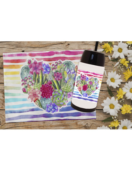 PACK CACTUS AUTOMA+MATE+INDIVIDUAL