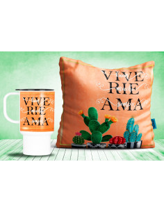 PACK CACTUS ALMOHADON Y JARRO 2