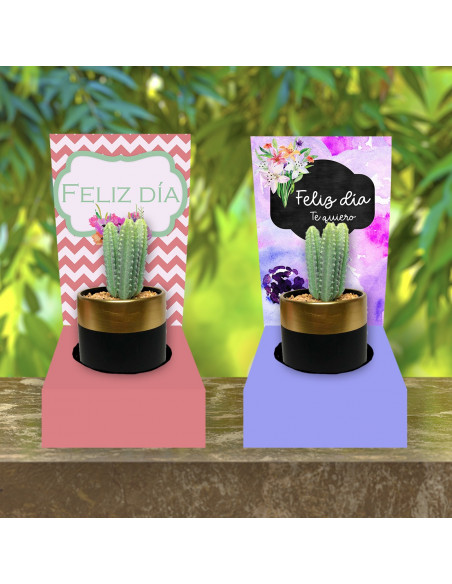 BASE PARA CACTUS-VASO CAFE