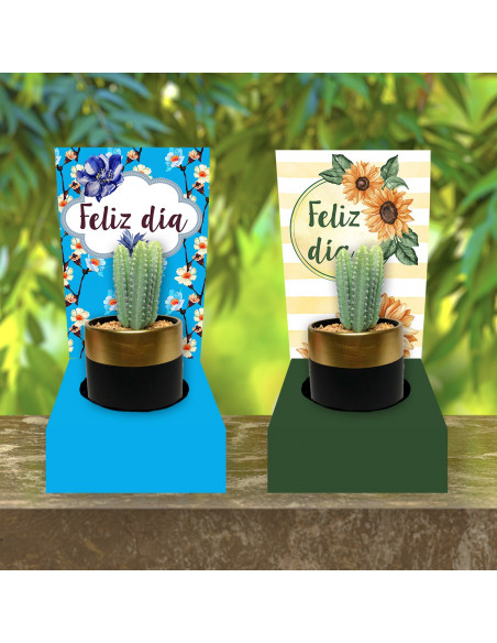 BASE PARA CACTUS-VASO CAFE