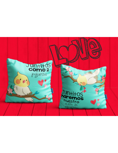 Almohadón San Valentín