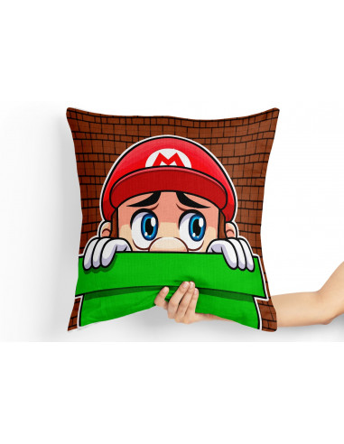 ALMOHADONES MARIO BROSS