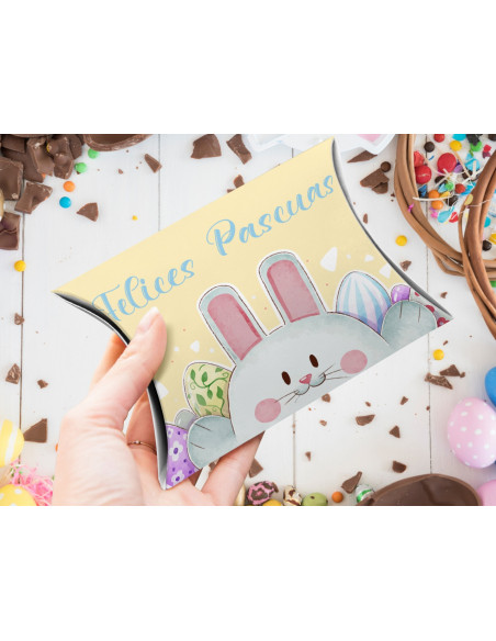 CAJAS ALMOHADAS PASCUA