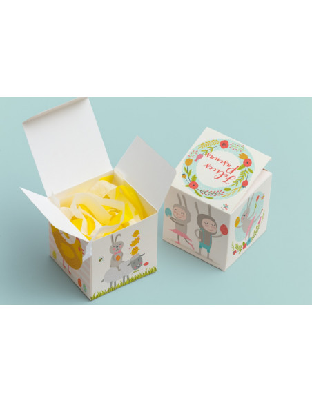 CAJA CUBO PASCUAS