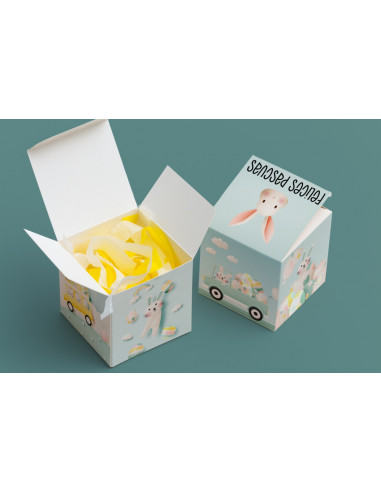 CAJA CUBO PASCUAS
