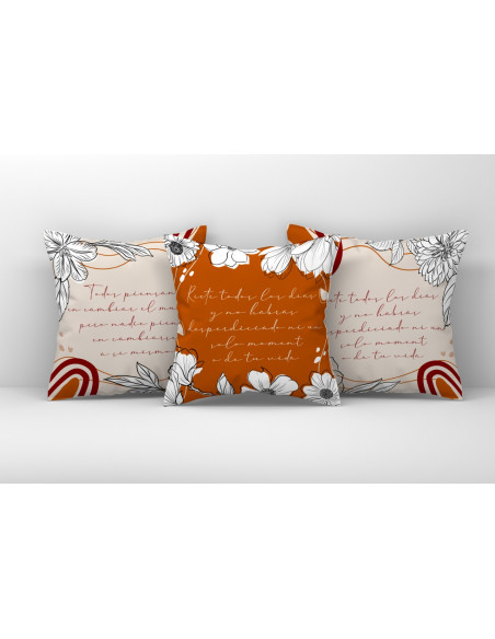 ALMOHADONES MINIMALISTAS