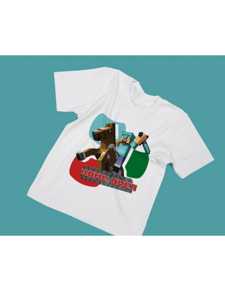 REMERAS MINECRAFT