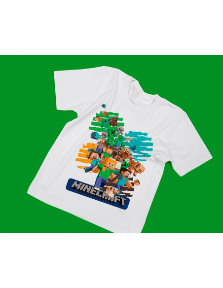 REMERAS MINECRAFT