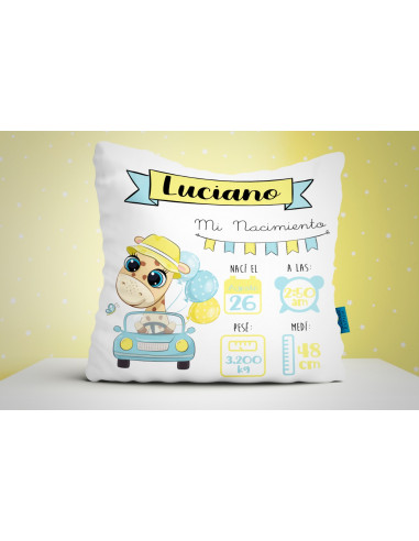 ALMOHADONES RECIEN NACIDO 3