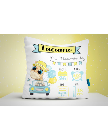 ALMOHADONES RECIEN NACIDO 3