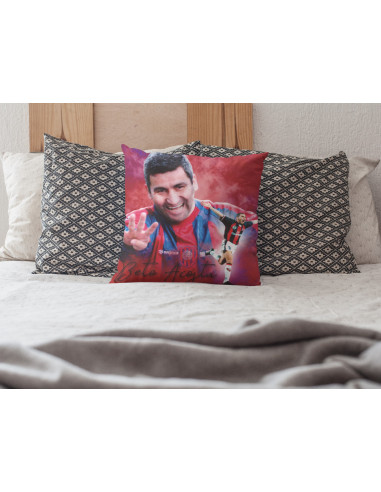 Almohadón Ídolos Fútbol