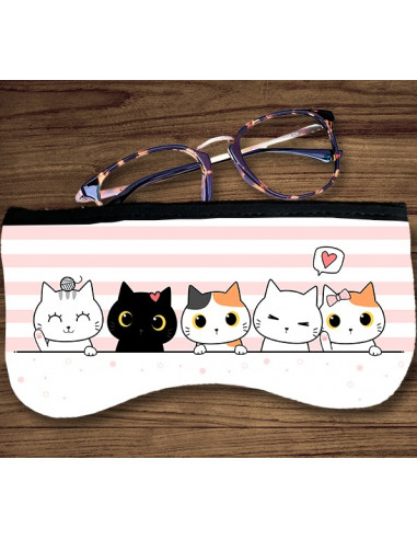 ESTUCHE ANTEOJOS PACK 1