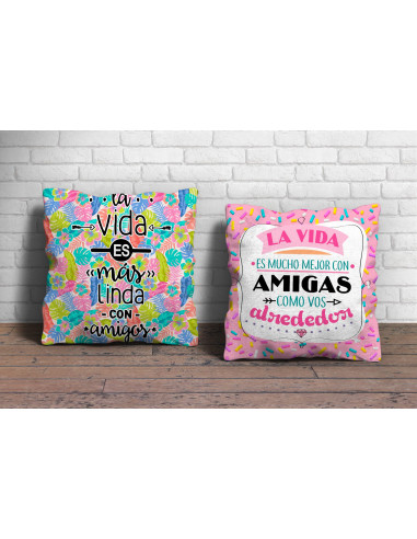 Almohadón día amigo 2