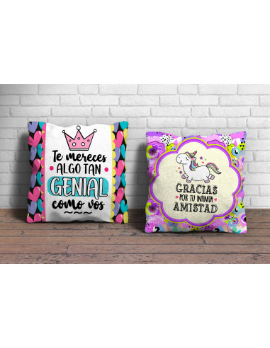 Almohadón día amigo 2